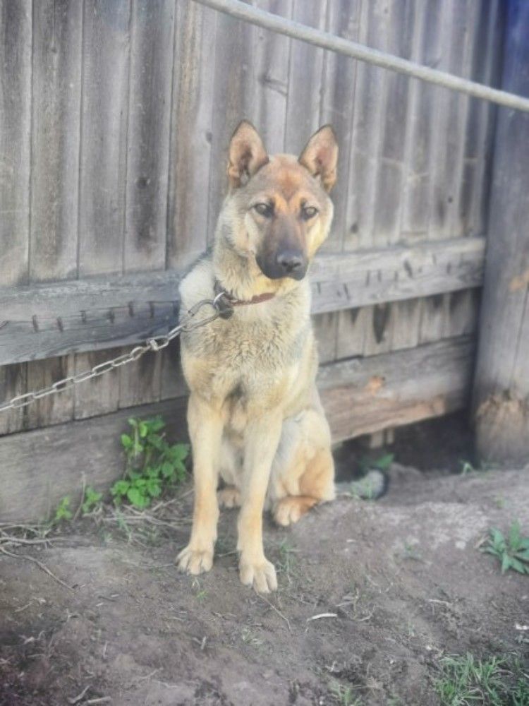 Photograph by Клещенок Степан