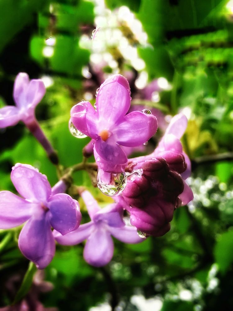Photograph by Евгения Лушенкова