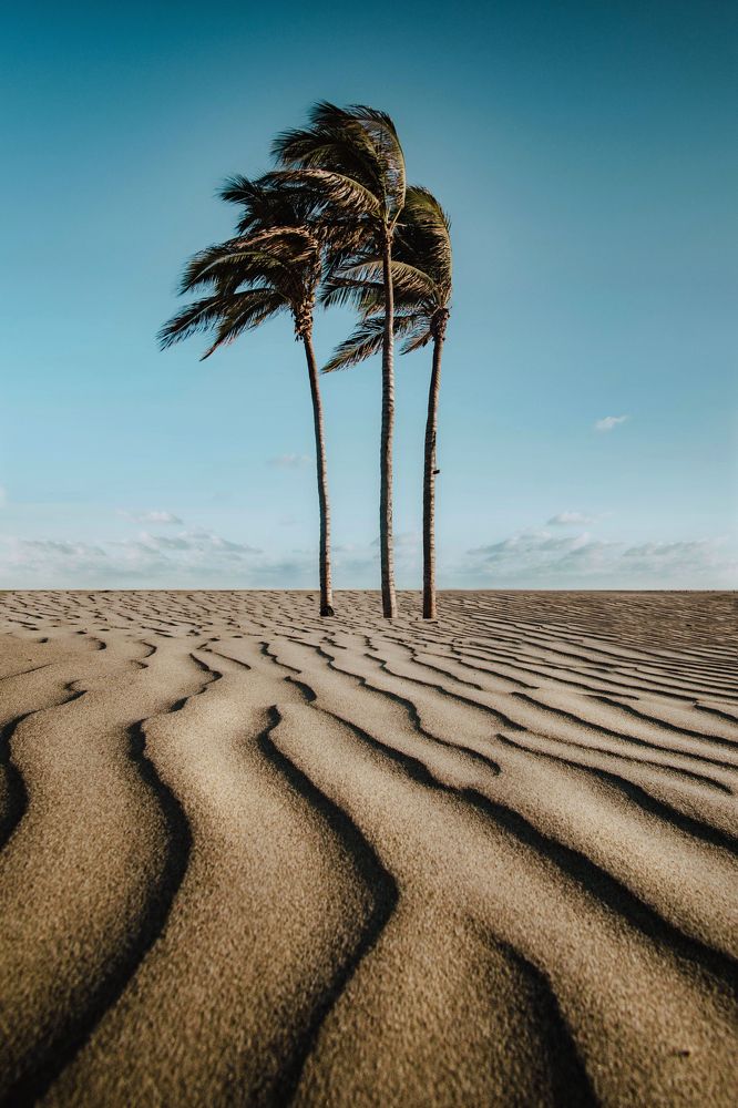 Photograph by Brian mena laureano