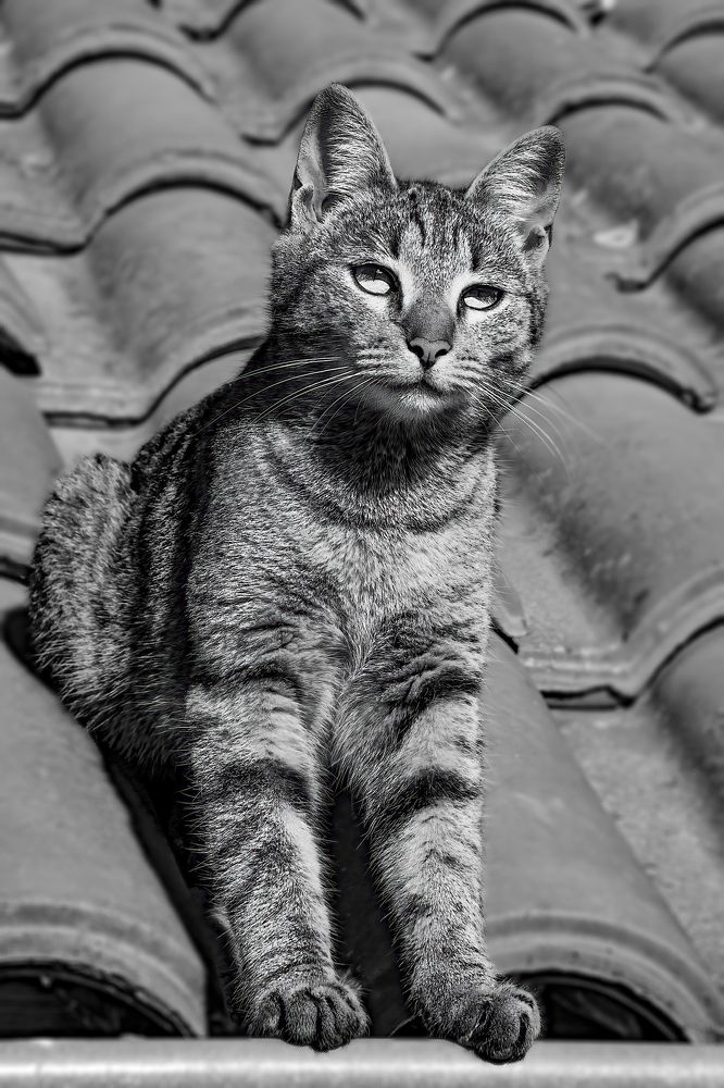 Photograph by Djordje Filipovic