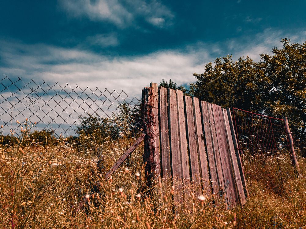 Photograph by Виталий Шкадинов