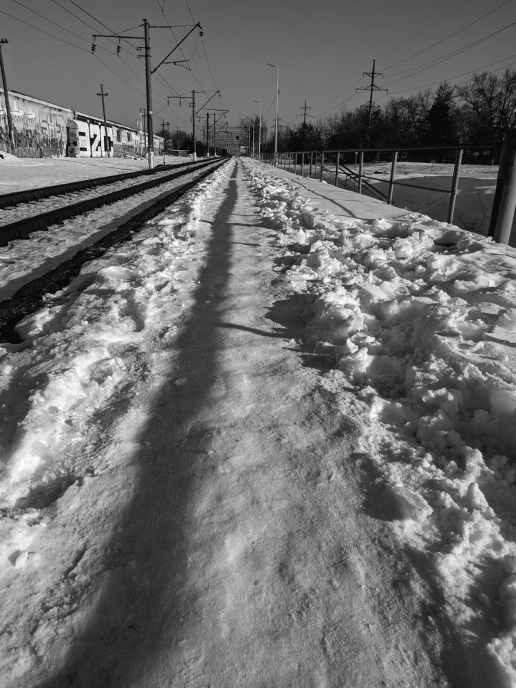 Photograph by Александр Шевченко