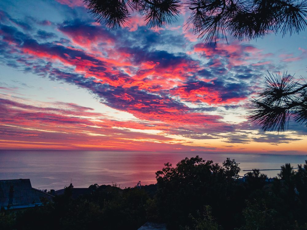 Photograph by Виталий Шкадинов