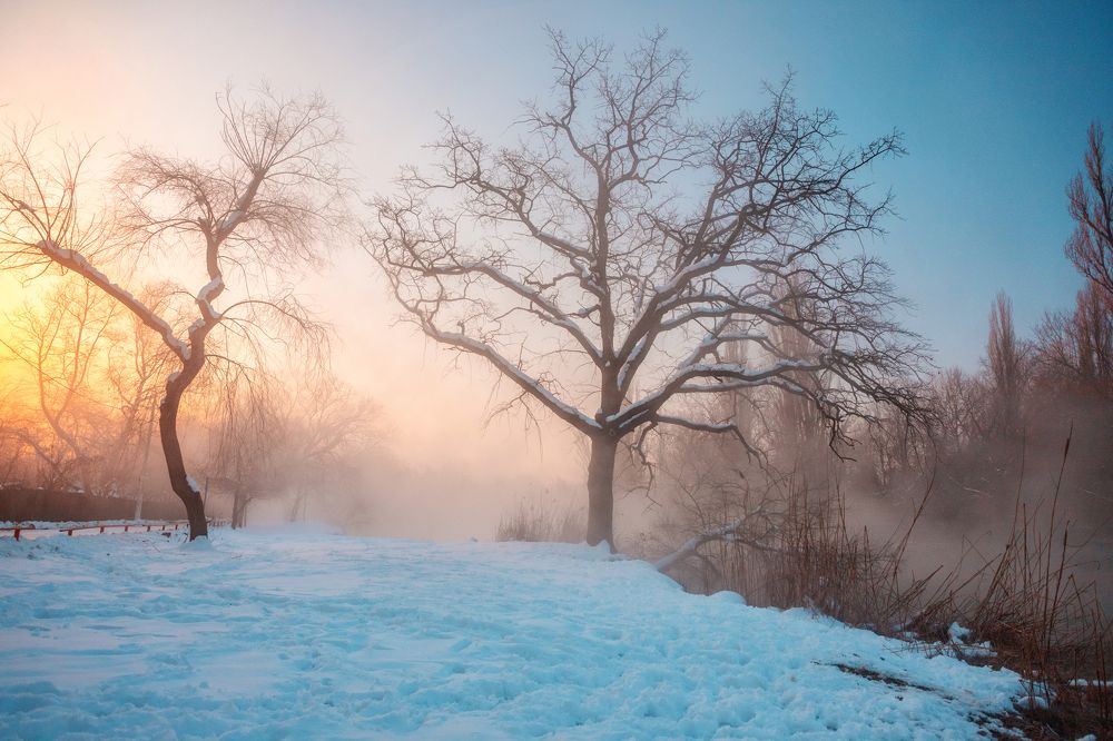 Photograph by EKATERINA WALTER