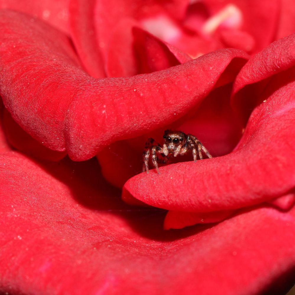 Photograph by Vikesh Bhoir