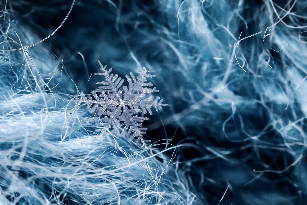 Photograph by Мария Сурмачева