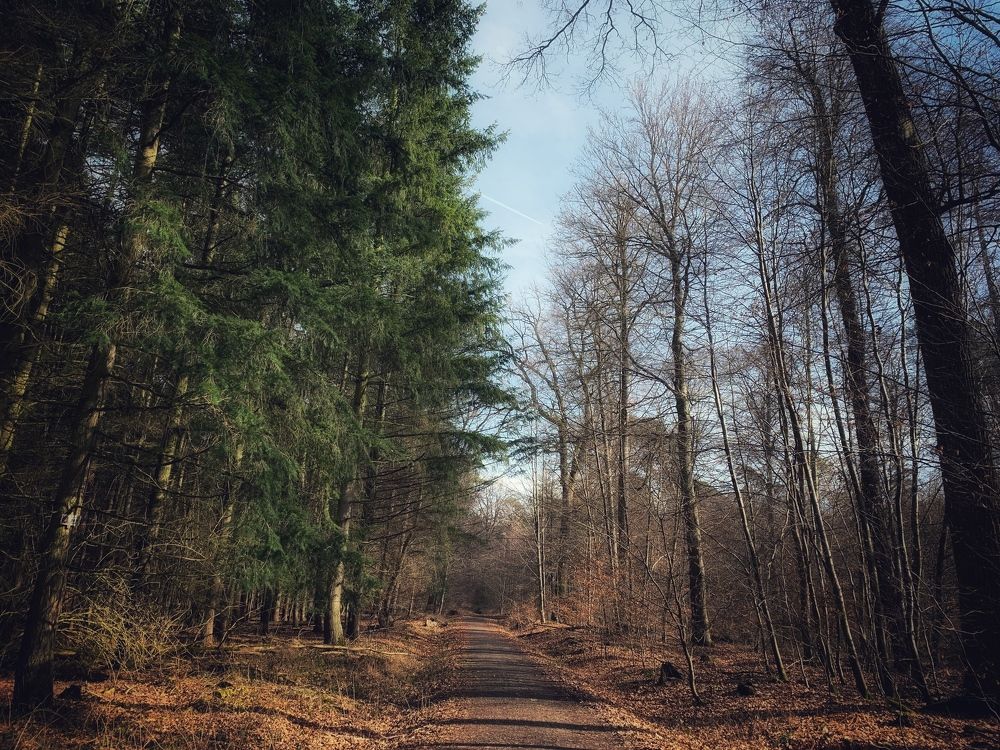 Photograph by Swetlana Lebedev