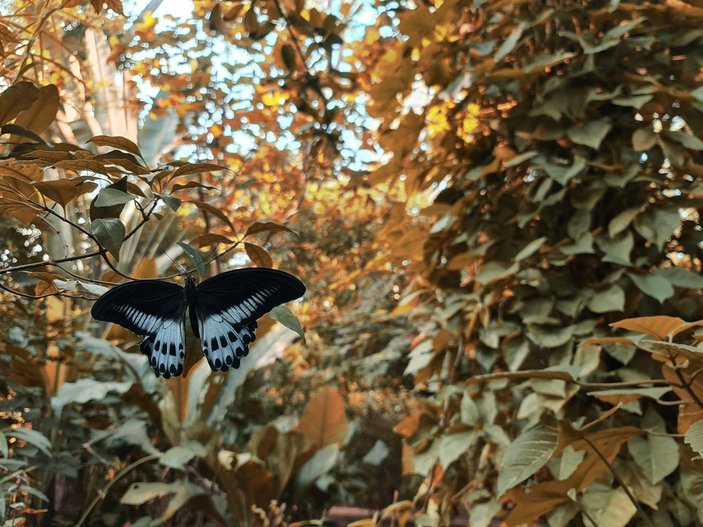 Photograph by Vikesh Bhoir