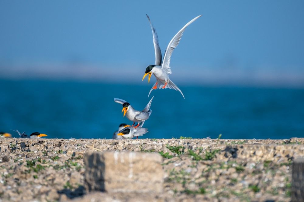 Photograph by Vikesh Bhoir