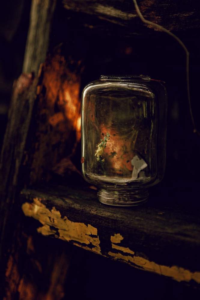 Photograph by Наталья Скрипка