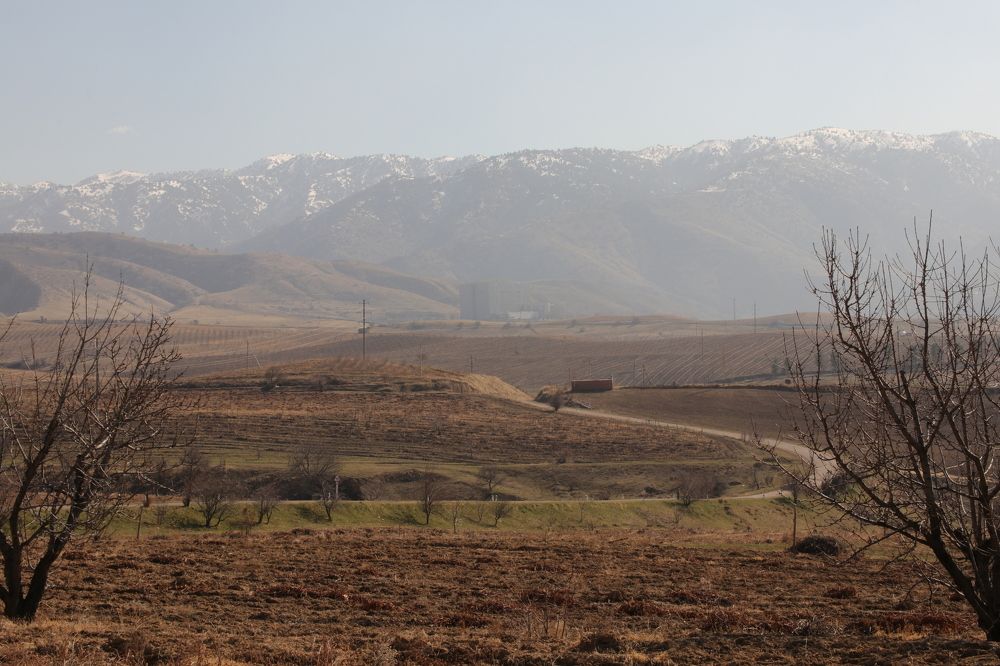 Photograph by Ekaterina