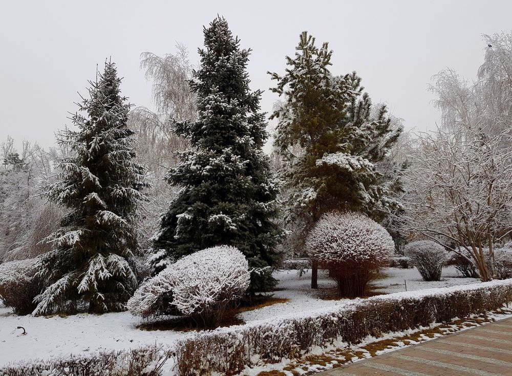 Photograph by Лариса