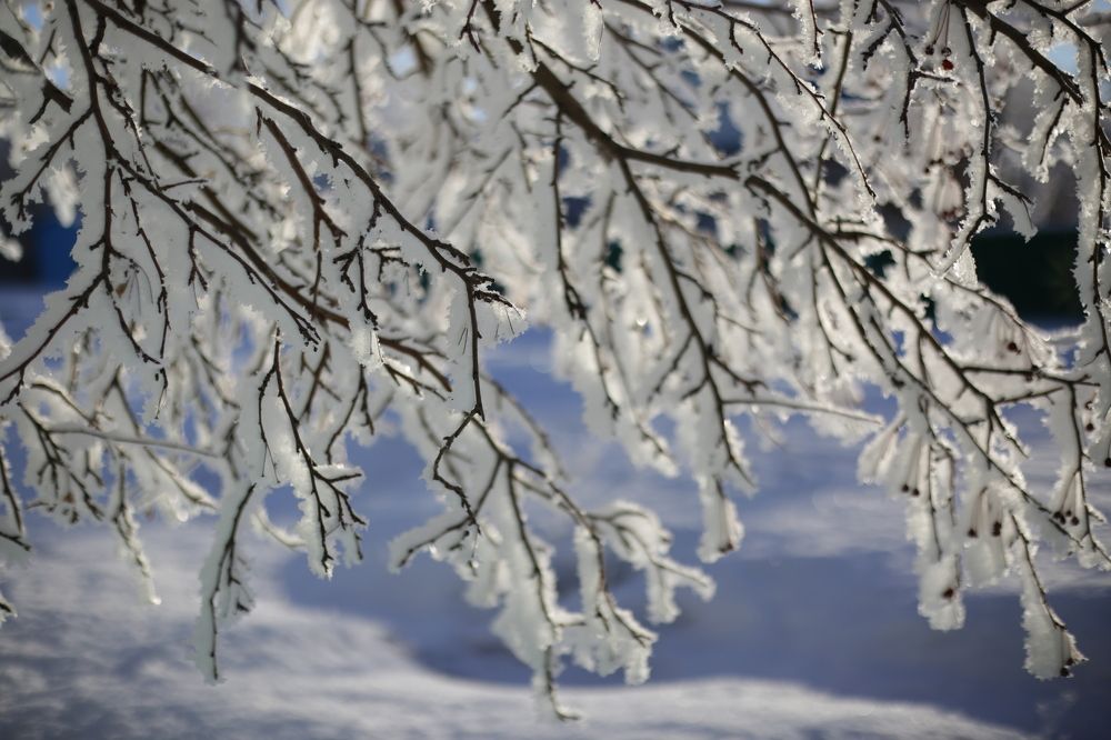 Photograph by Инна