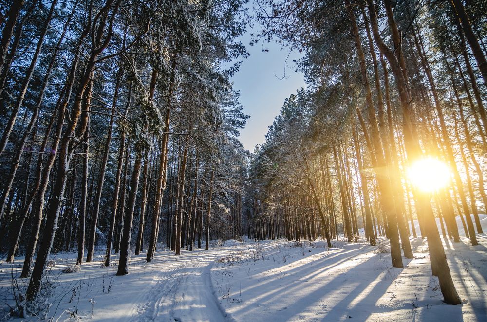 Photograph by Чурляев Максим