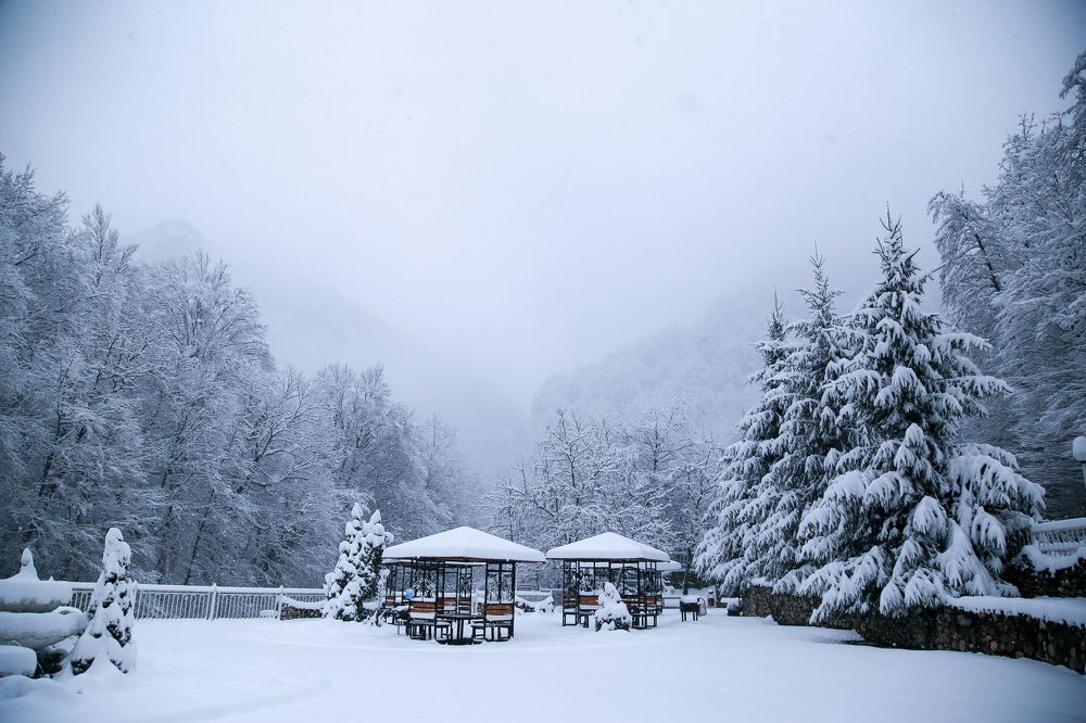 Photograph by Natalya Chumak