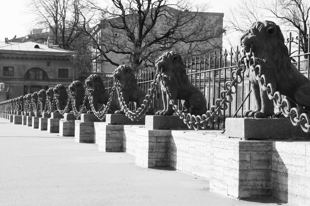 Photograph by Евгений Устинов