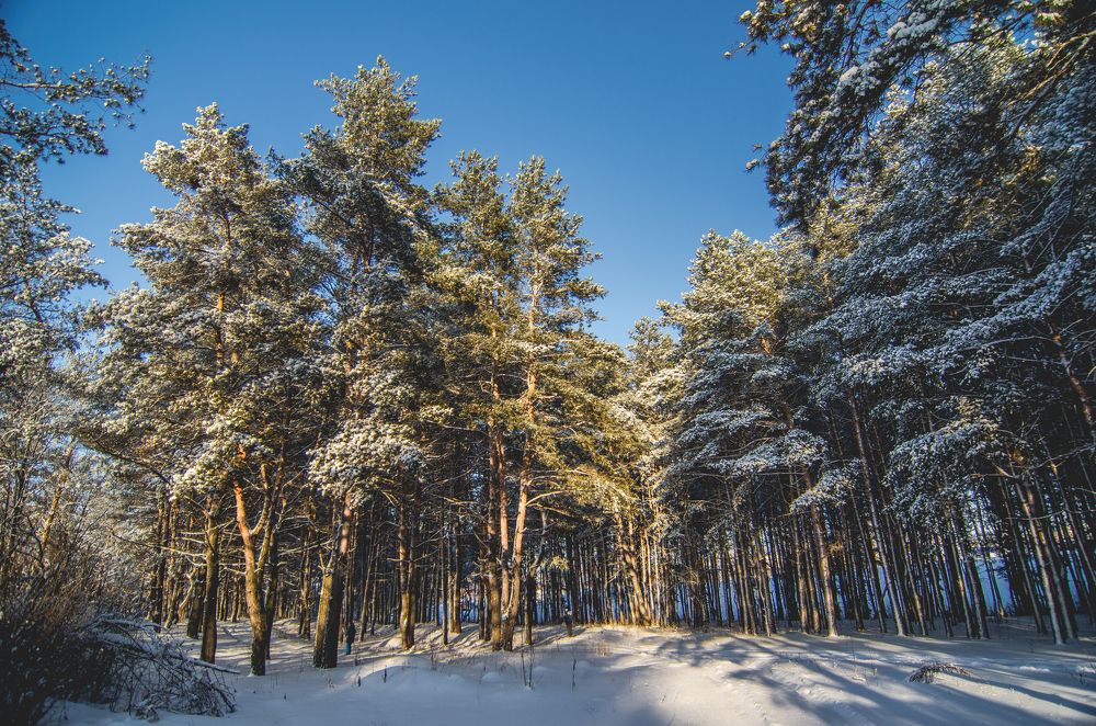 Photograph by Чурляев Максим