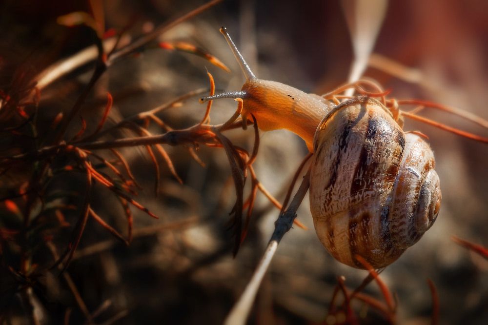 Photograph by Аркадий Саямов