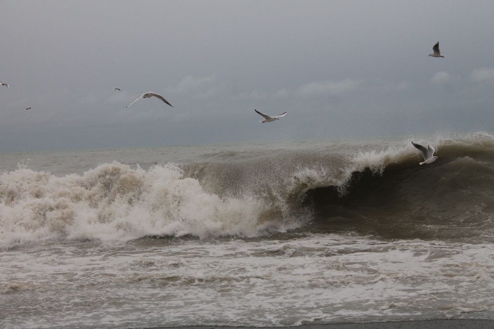 Photograph by Анастасия Бушуева