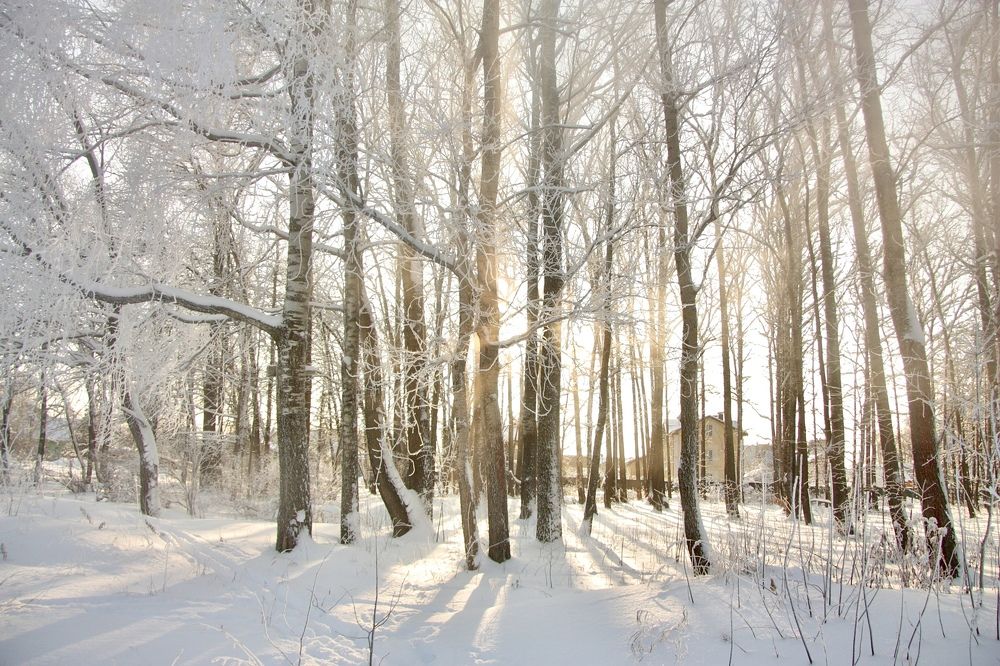 Photograph by Анастасия Павлова