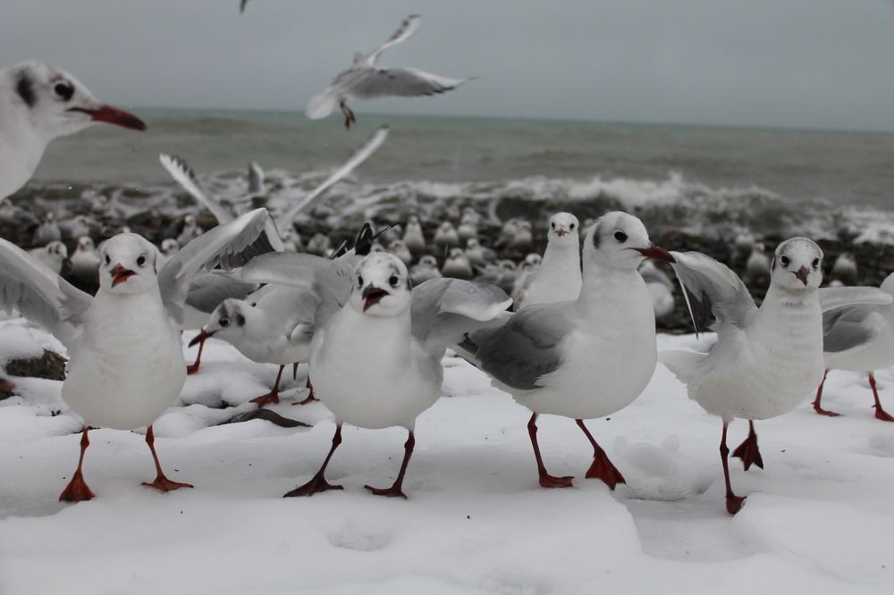 Photograph by Анастасия Бушуева