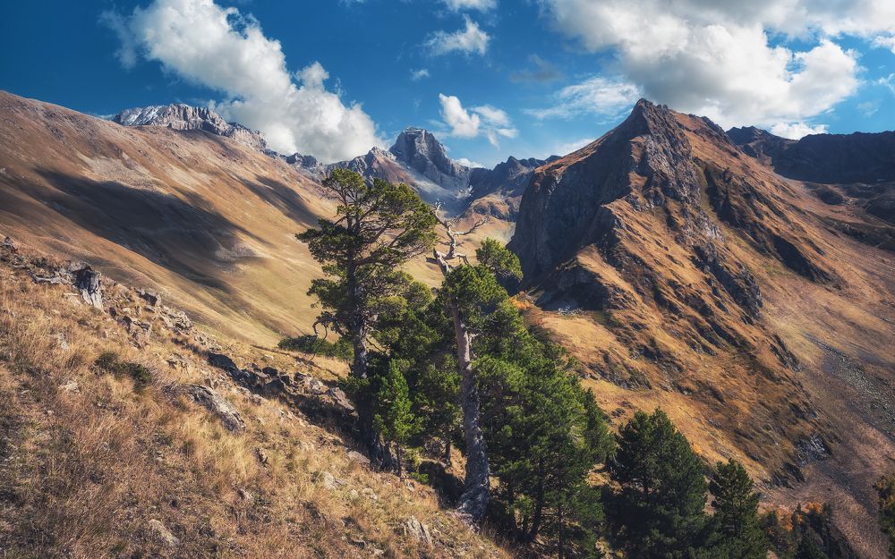 Говорящие с ветром...
