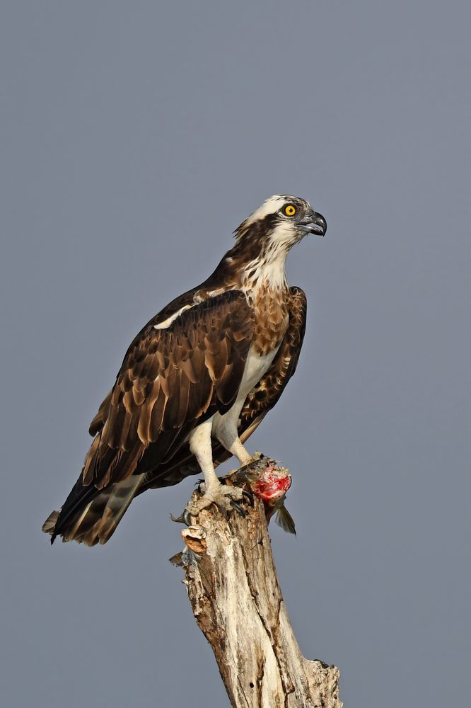 Photograph by Yuwaraj Gurjar