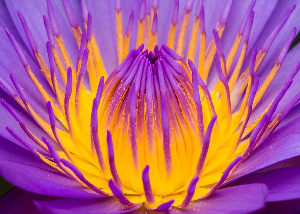 Photograph by Wildan Ardani