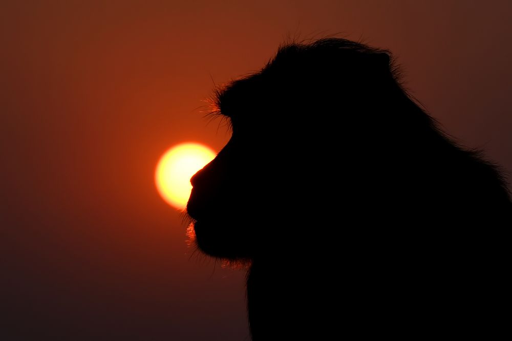 Photograph by Yuwaraj Gurjar