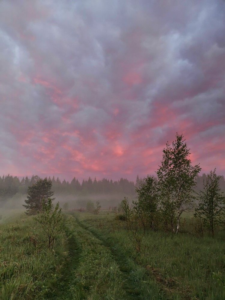 Photo #5805295