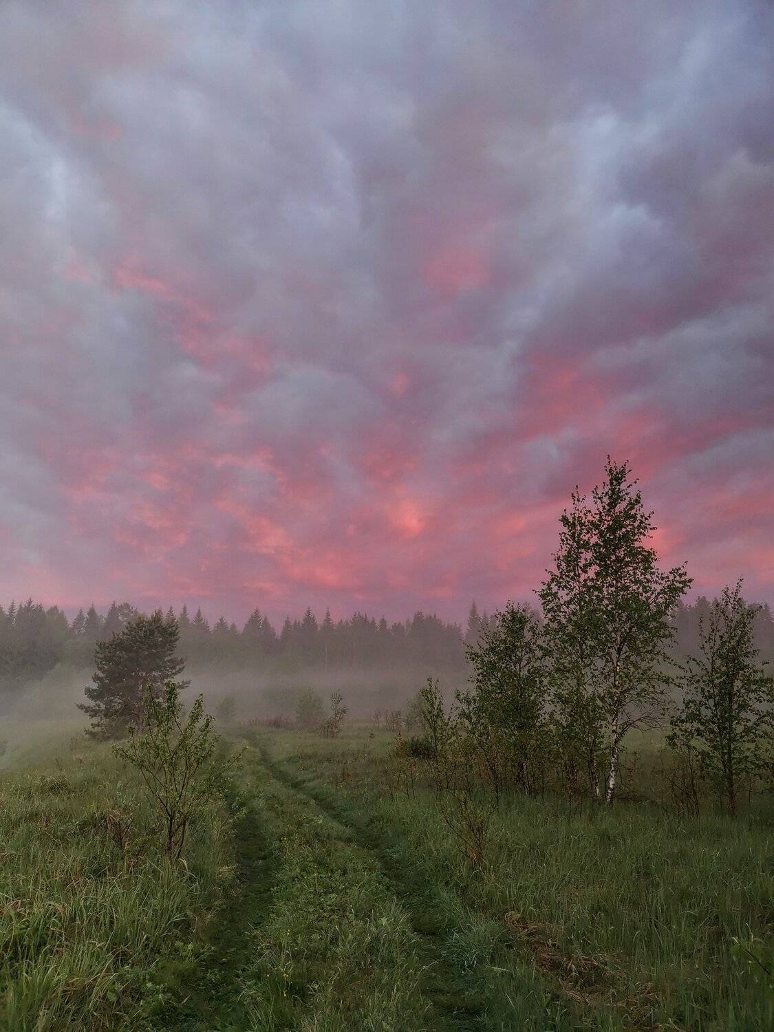 Photo #5805295