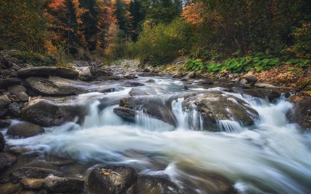 Шантацара...