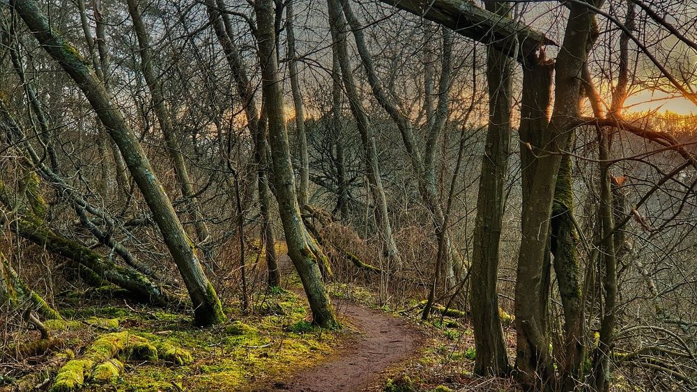 Photograph by Юрий Смелов