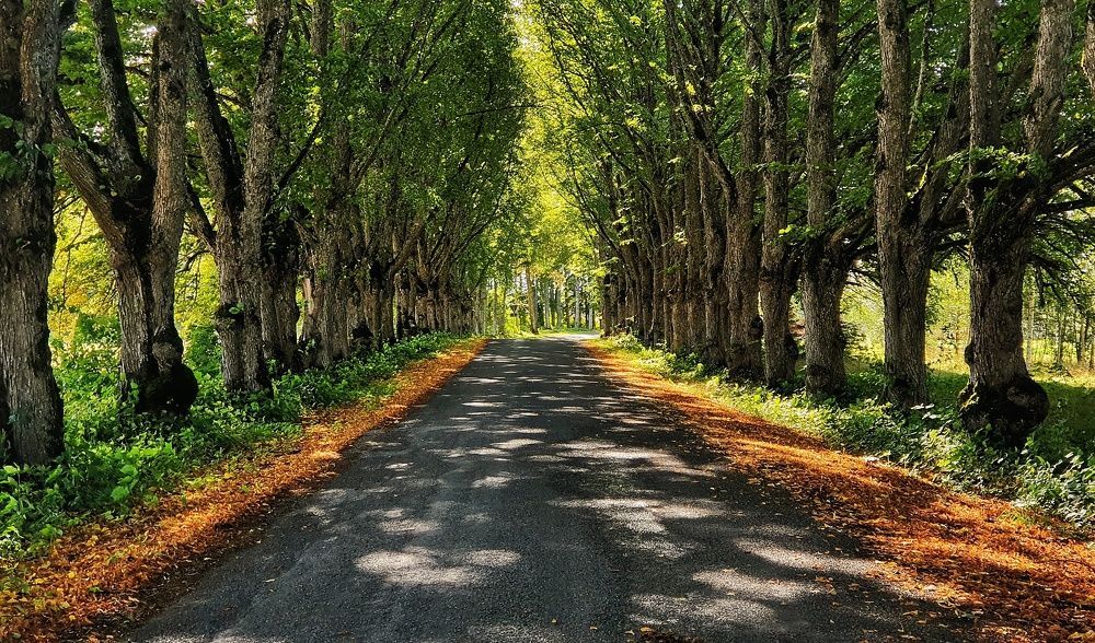 Photograph by Юрий Смелов