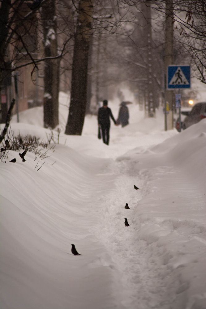 Photograph by Елена Клочкова