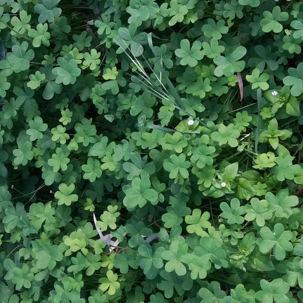 Photograph by WANDA OZIERANSKA