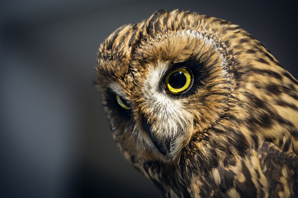 Photograph by Кристина Сотникова