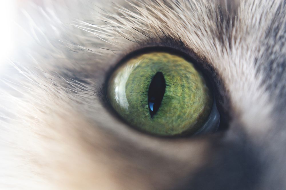 Photograph by Кристина Сотникова