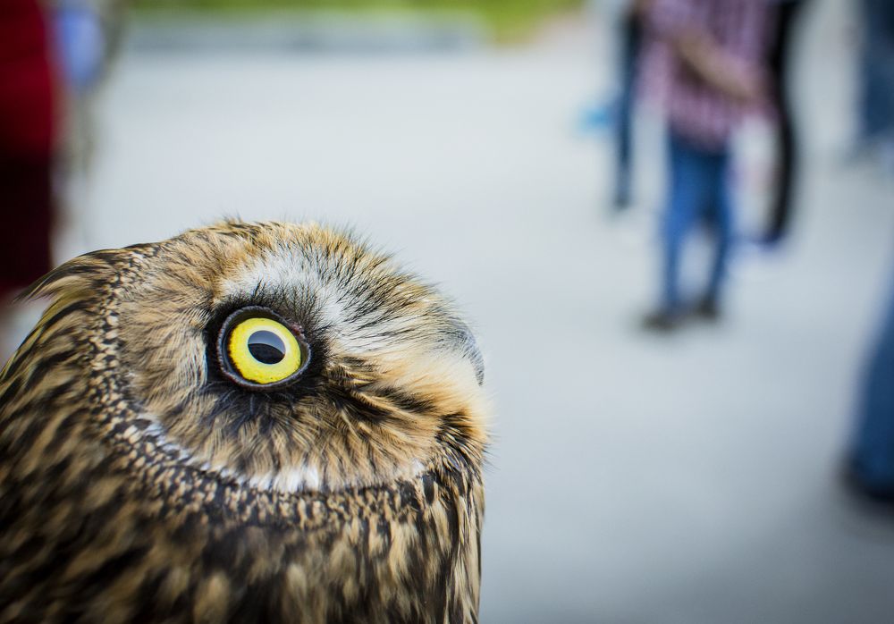 Photograph by Кристина Сотникова