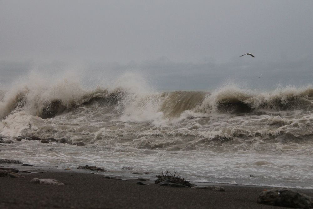 Photograph by Анастасия Бушуева