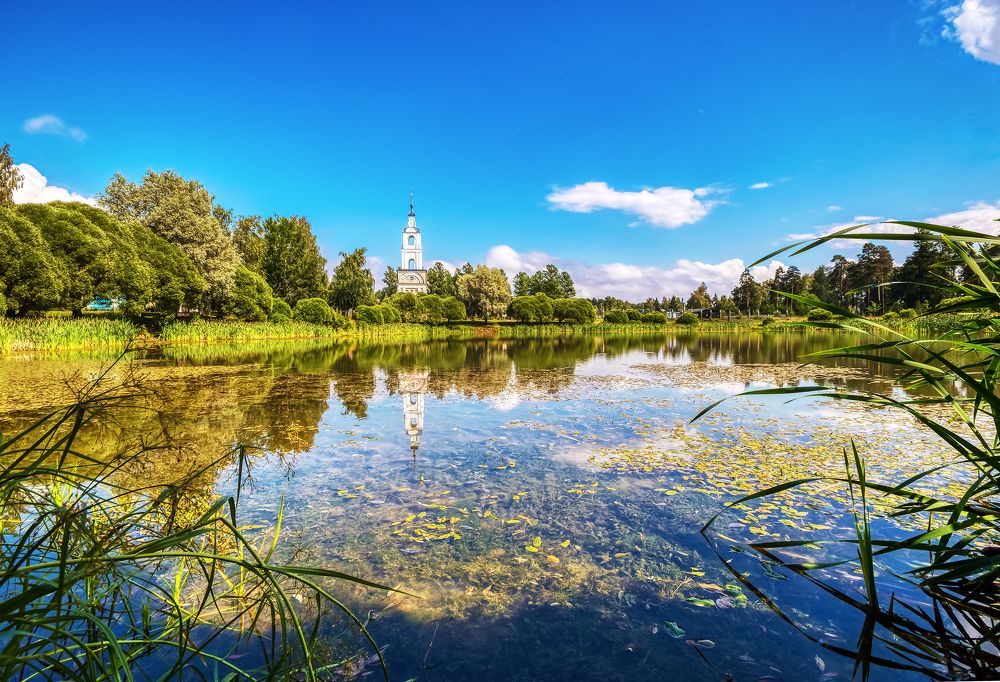 Фотография автора Oleg Podlesnykh