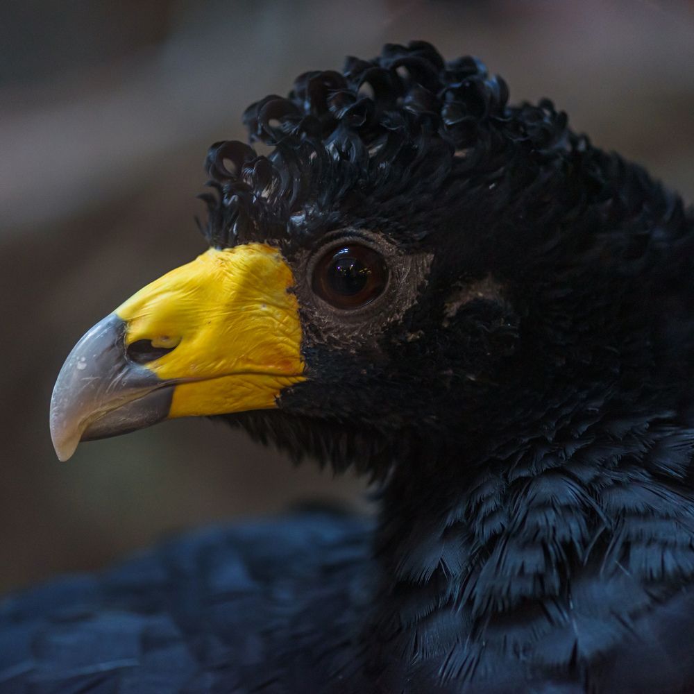 Яркий профиль