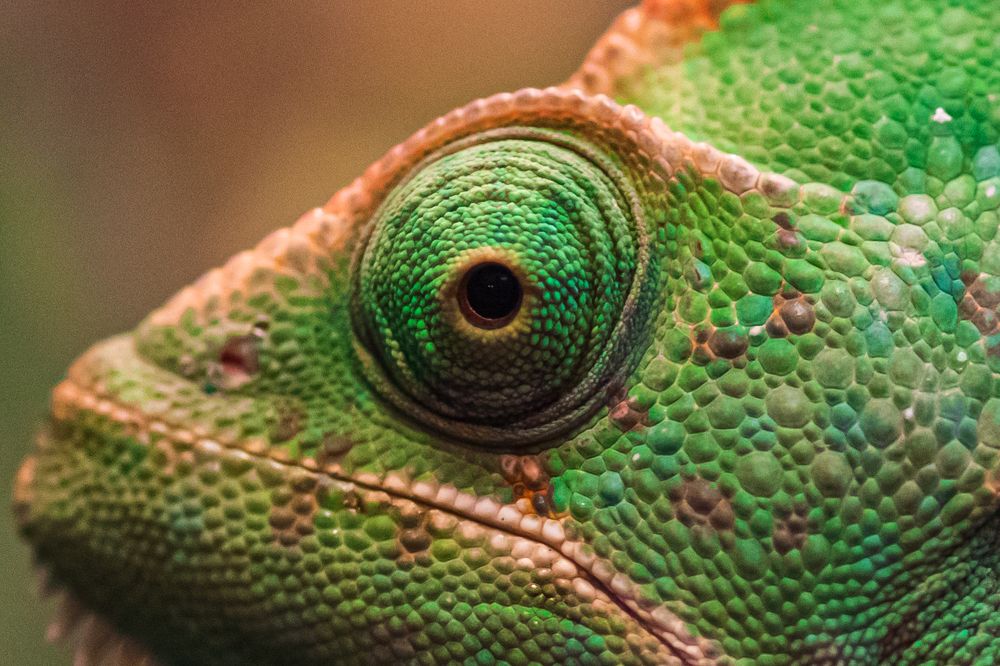 Смотрю во все стороны