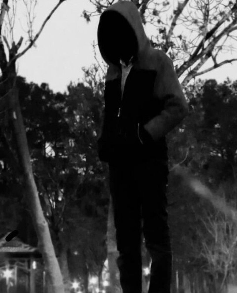 Photograph by Mohammad mahdi Mansouri