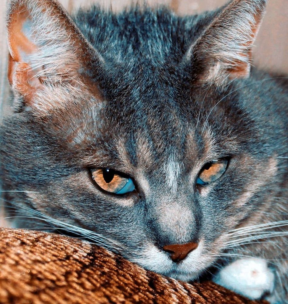 Photograph by Natalija Bucinska