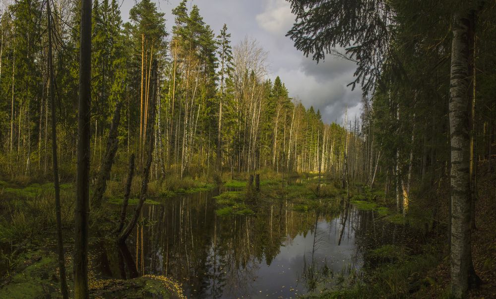 Photograph by Вячеслав Булатов