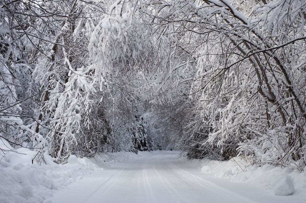 Photograph by Роман Королёв