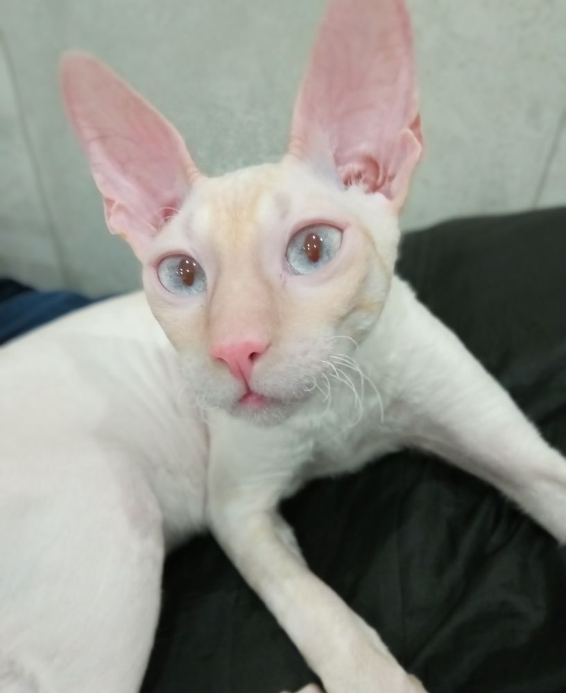 Фотография автора Людмила Зубова