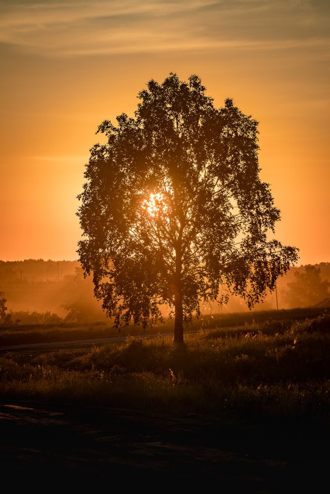 Photograph by Сергей Пашнов