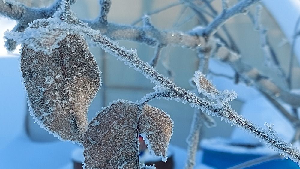Photograph by Юрий Тимофеев
